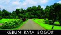 tempat wisata di bogor kebun raya bogor