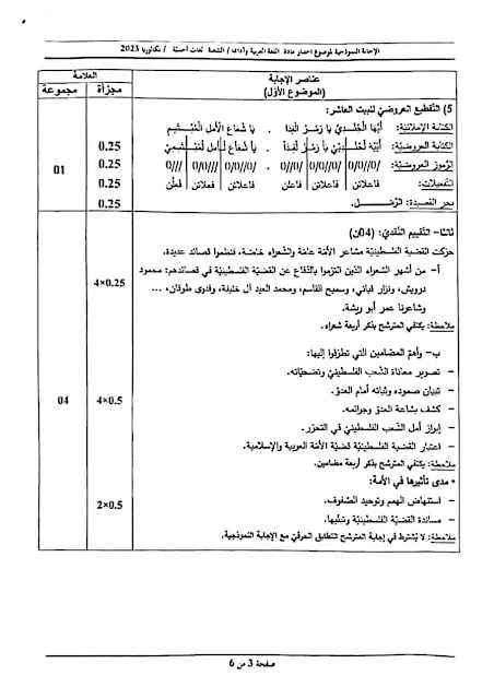 تصحيح موضوع اللغة العربية بكالوريا 2023 شعبة لغات أجنبية