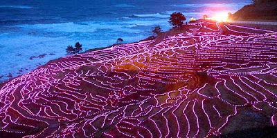 Sawah Unik dengan Hiasan 20.000 Lampu LED