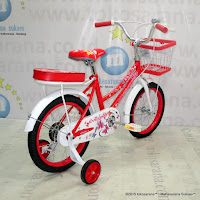 16 Inch Evergreen 16AP Butterfly Kids Bike