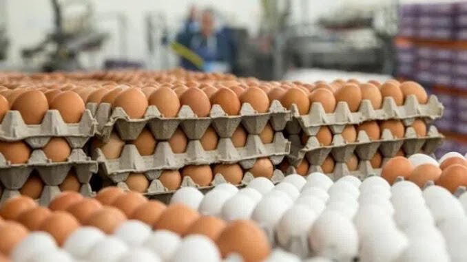 Scientists Warn Eggs Are Causing Thousands of People to ‘Suddenly’ Form Blood Clots