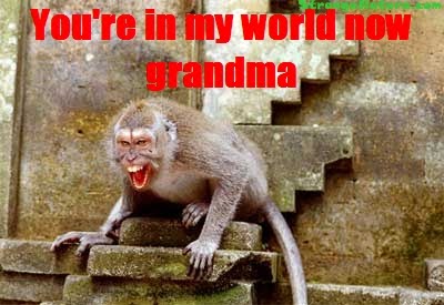 scary-monkey-funny-caption.jpg