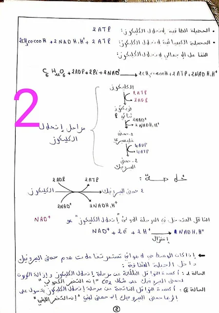 ملخصات دروس علوم الحياة و الارض الدورة الأولى السنة الثانية باكالوريا