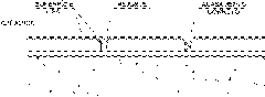 clip_image485