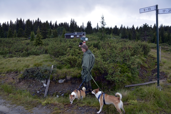 vardefjell buvasstøla stolpejakt