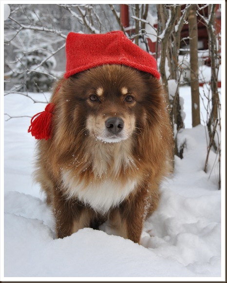 snart jul