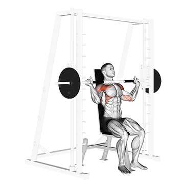 Barbell Shoulder Press