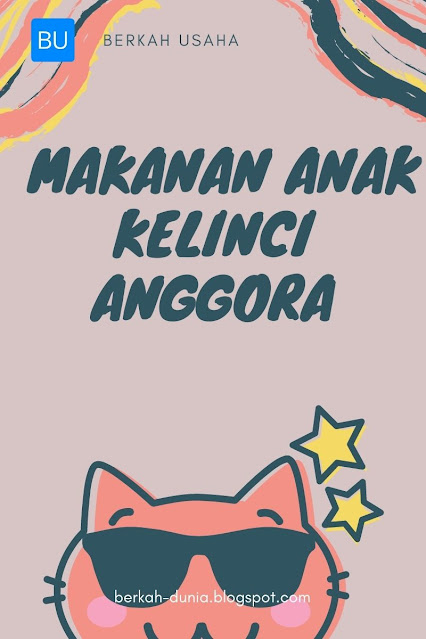 Makanan Anak Kelinci Anggora