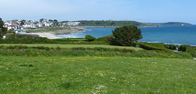 Boscawen Field, Falmouth