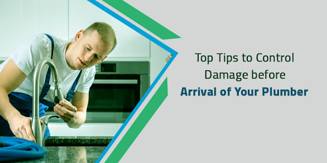 Top Tips to Control Damage