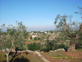 campagna salentina, specchia