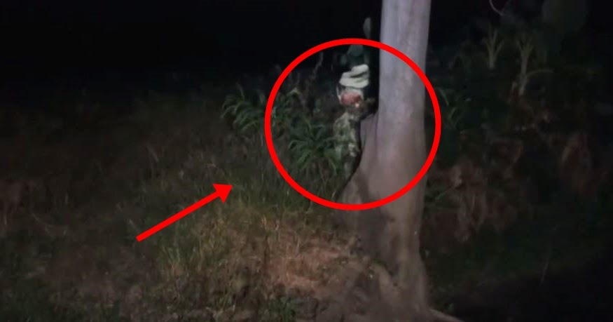 Menyeramkan Terlihat Sangat Jelas Wajah Asli Pocong Ternyata Sangat Menakutkan Nuisonk