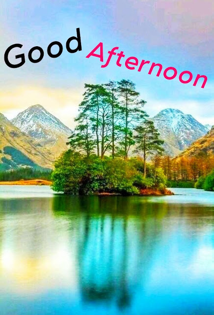 Good Afternoon Images Photo HD Download