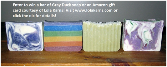  Gray Duck Soap