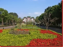 DSCF0524