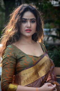 Sony Charishta Hot Saree Photos at Silk and Cotton Expo Showroom Launch