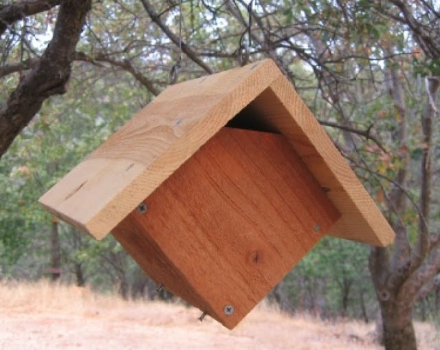 Wren Bird House Plans