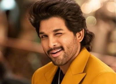 Should-Hero-Allu-Arjun-Be-Cautious-In-Building-His-Brand-Andhra-Talkies