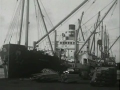le bateau