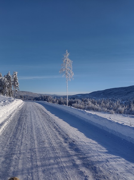 vinterstemning