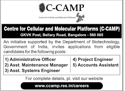 CCAMP Vacancy 2025