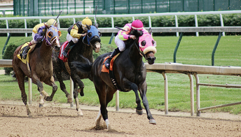 Churchill Downs Louisville Kentucky Derby