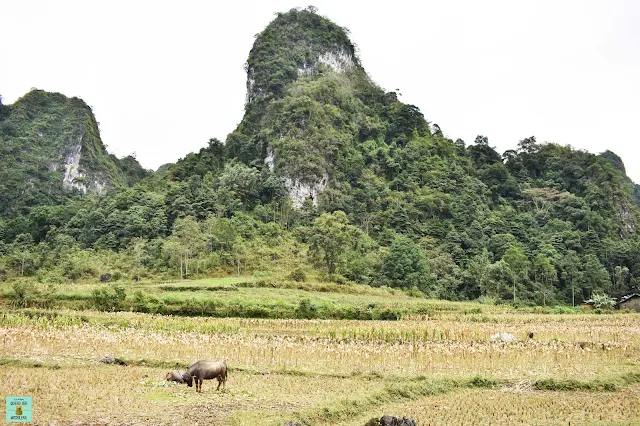 Cao Bang, Vietnam