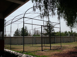 Nuestro proyecto de invernadero