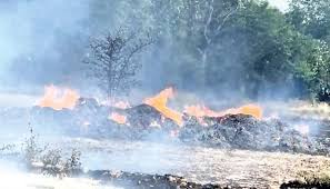 जिला सोलन में आग से अंदरोला में किसान की कटा गेहूं और तूड़ी जली