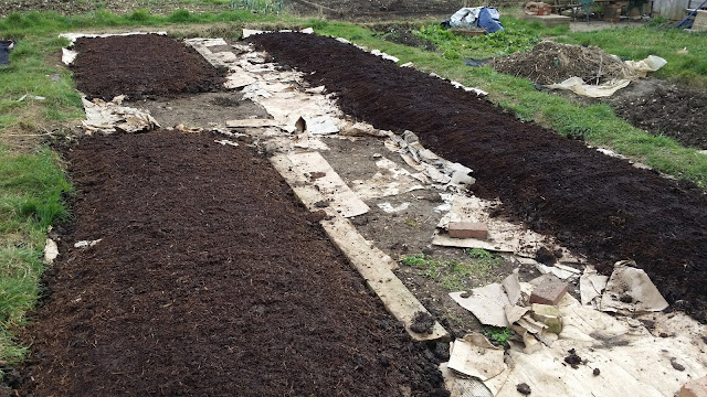 no dig, no dig beds, #nodig, no dig allotment