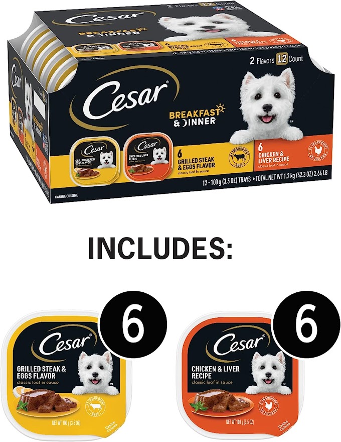 CESAR Wet Dog Food Classic Loaf in Sauce Breakfast and Dinner Mealtime Variety Pack, (12) 3.5 oz. Easy Peel Trays, Brown