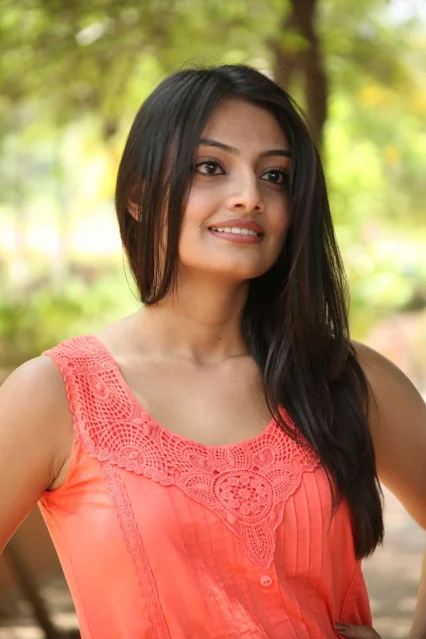 Nikitha Narayan Telugu Actress Cute Armpit Pics
