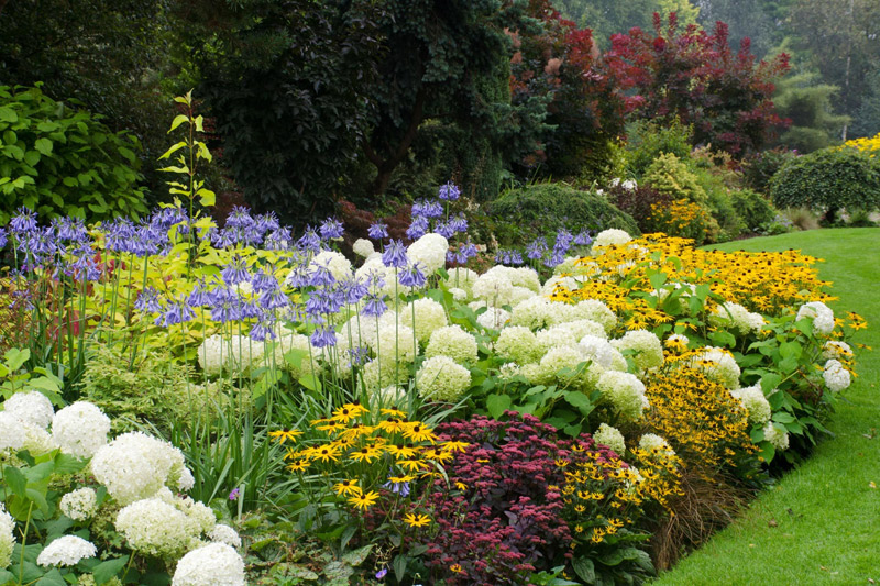 10 Shrubs to Plant for Seasonal Color in Your Garden