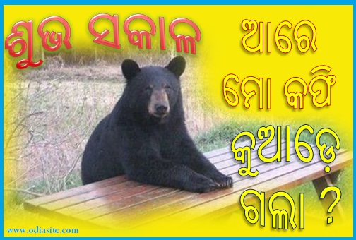 Best Odia Funny Good Morning Images Hd Greetings Images