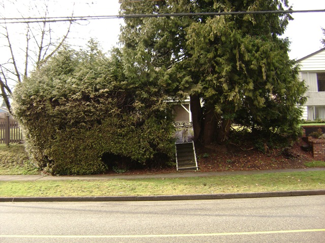 front yard landscaping ideas perth. that our front yard used