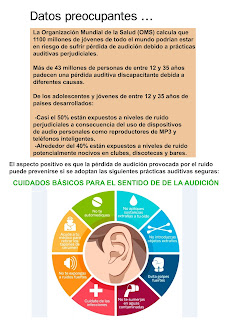 Planificación - Biología - La salud auditiva