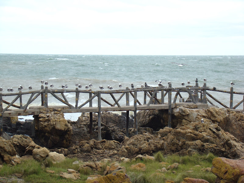 Piriápolis, Uruguay, elisaorigami, travel, blogger, voyages, lifestyle