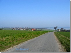IMG_4367