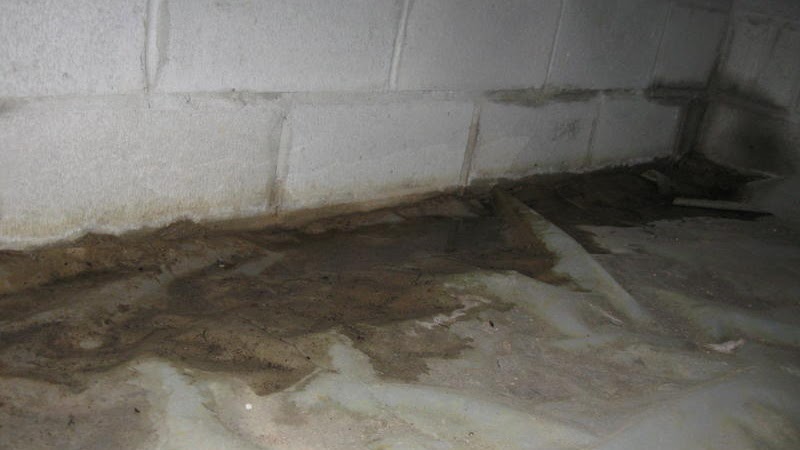 Vapor Barrier - Vapor Barrier Under House