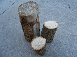 cut logs for Hypertufa mushrooms