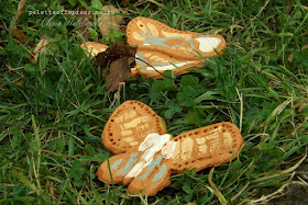 Керамические бабочки Мугур Молочный обжиг Блог Вся палитра впечатлений Ceramics Palette of impression blog