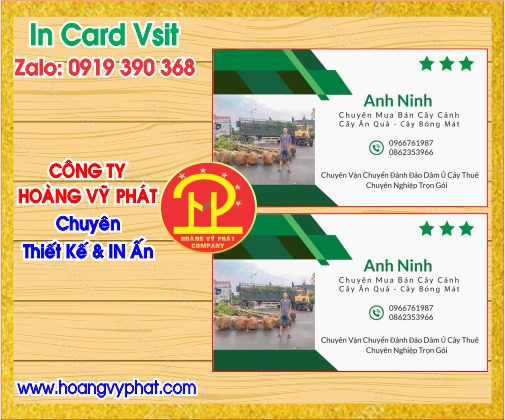 Mẫu In Card Danh Thiếp Đẹp Bình Dương 10