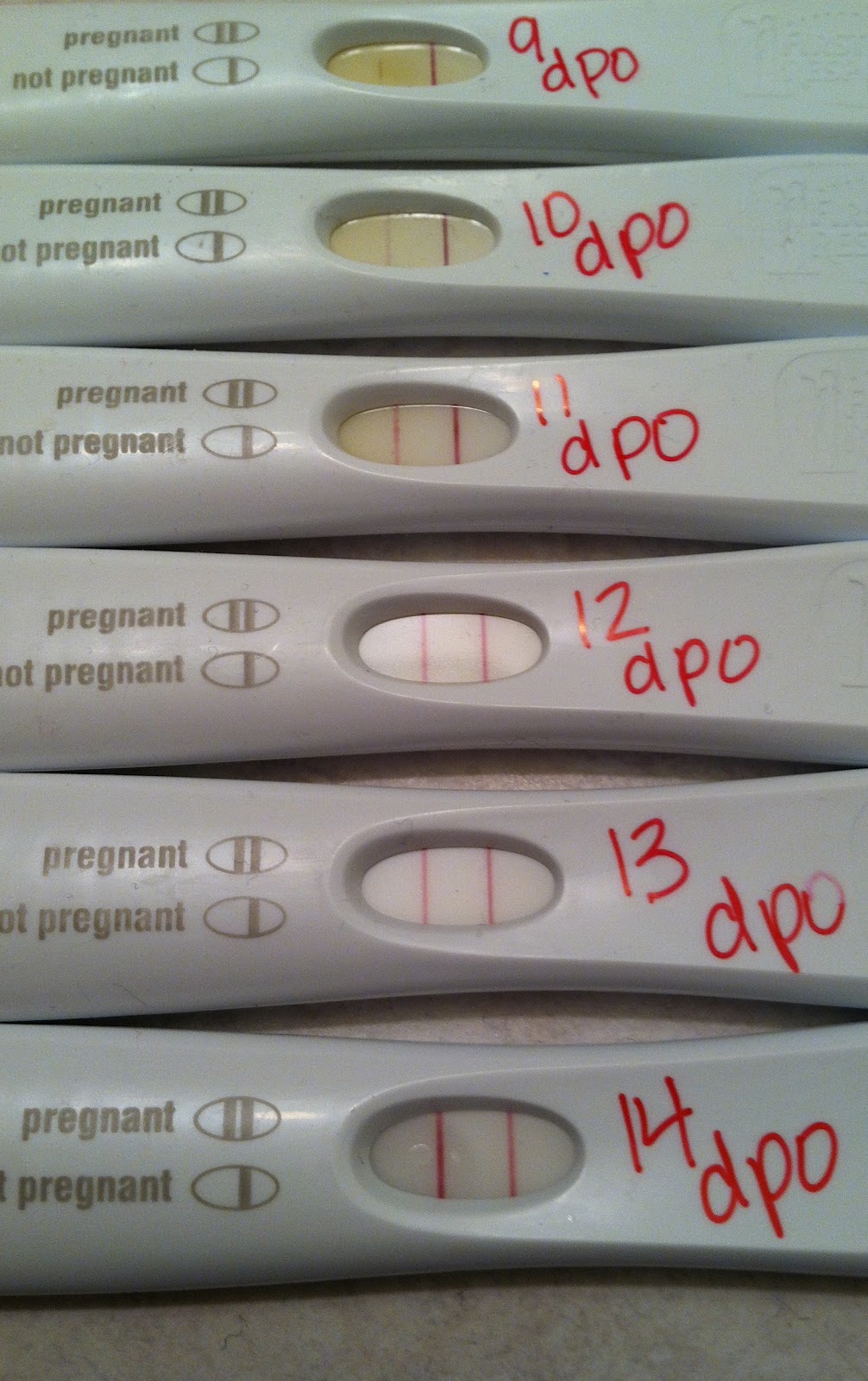 45 year old trying to get pregnant, complications of pregnancy after age 40 quotes, ovulation test positive 4 days in a row, can i get pregnant after 4 days of my period, 45 year old trying to get pregnant, complications of pregnancy after age 40 quotes, ovulation test positive 4 days in a row, can i get pregnant after 4 days of my period,