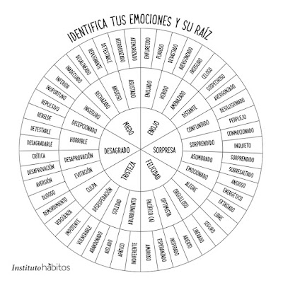 Rueda sentimientos identifica emociones