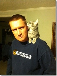 kitty 6