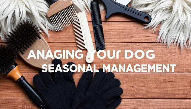 Managing Your Dog's Seasonal Shedding Top Tips