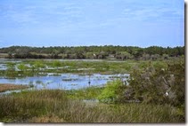 View from lookout