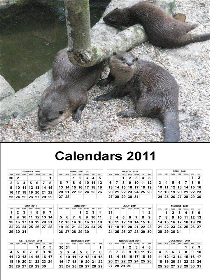 2011 calendar with holidays canada. 2011 calendar canada holidays.