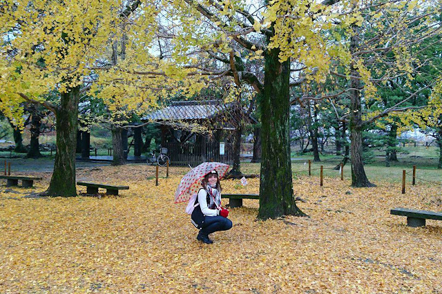 秋の舞鶴公園、福岡