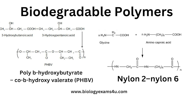 Examples of Biopolymers and Biodegradable Polymers | Chemistry for Biologists